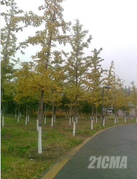QQͼ20121021200528.jpg